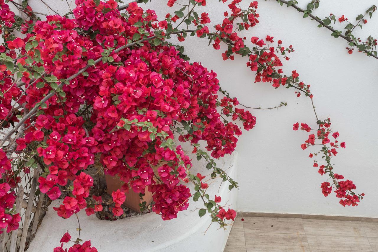 Depis Suites Naxos City Exterior photo